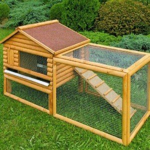 Woodland Clapier Poulailler bois Pour 2 Lapins ou 2 Poules naines