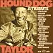 Hound Dog Taylor: A Tribute