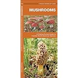 mushrooms a folding pocket guide to familiar north american species pocket naturalist guide series