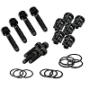 Briggs & Stratton Pressure Washer Pump Valve Check Kit 190591GS
