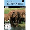 Tagebuch der Elefanten, Teil 1