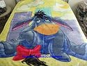 Disney Pooh & Friends twin character blanket - EEYORE friendly frolic plush throw