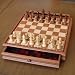 Camphor Chess/Checkers Set