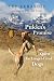 Pukka's Promise: The Quest for Longer-Lived Dogs