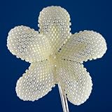 Hawaiian Plumeria flower - pale ivory - beaded bridal flower (silver bobby pin) ~ heartinhawaii