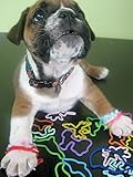 Silly Bandz Fun Shapes - 24 Pack