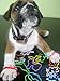 Silly Bandz Princess - 24 Pack