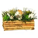 Forgotten Island Dried Floral Arrangement in Bamboo Box