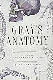 Anatomy : descriptive and surgical