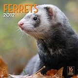 2012 Ferrets Wall calendar