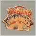 Traveling Wilburys (2 CD / 1 DVD)