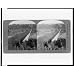 Photo Deadman Syphon of the L.A. aqueduct, eleven foot steel pipe carrying water from Owens River to Los Angeles,