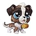 Littlest Pet Shop St Bernard Toy