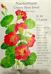 Heirloom Nasturtium Cherry Rose Jewel Seeds 25 Seeds