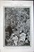 1907 JAVANESE JUNGLE JAVA HOLLAND VEGETATION MEN PAPERS