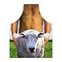 Sheep Shagger Novelty Apron