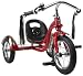 Schwinn Roadster 12-Inch Trike (Red)