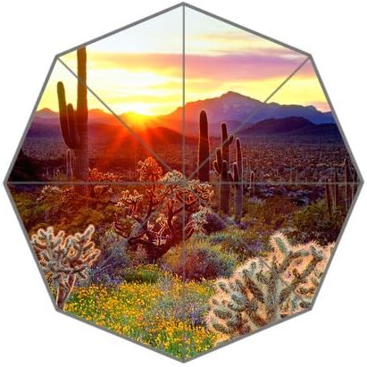 Birthday Gifts Arizona, Wildflowers And Cacti Cactus 100% Fabric And Aluminium Auto Foldable Umbrella