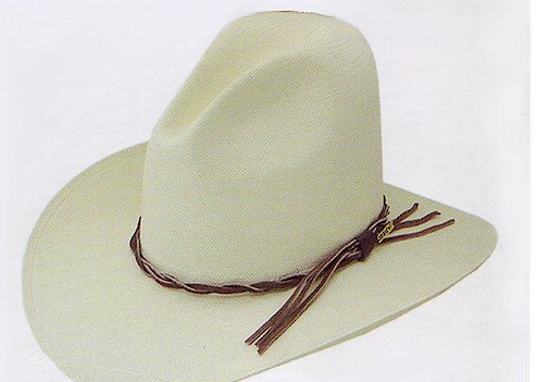 Stetson Gus Straw Cowboy hat