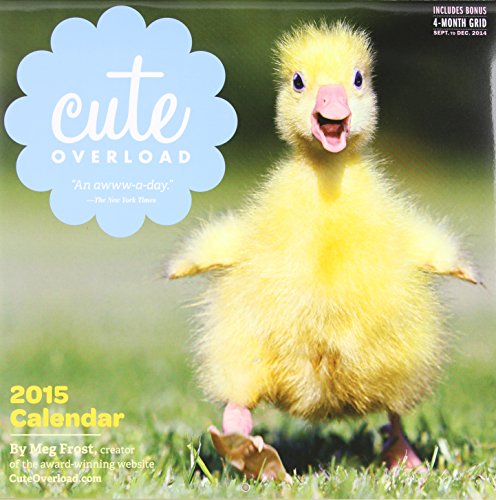 Cute Overload 2015 Wall Calendar