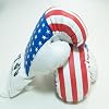 Punching Gloves Pair