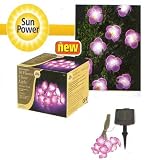 Gardman 10 Flower Chain Light Petunia Pink