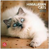 Himalayan Cats 2013 - Colourpoint-Katzen - Original BrownTrout-Kalender