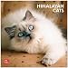 Himalayan Cats 2013 Square 12X12 Wall Calendar
