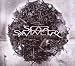 Scar Symmetry-Dark Matter Dimensions