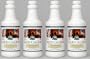 Naturessunshine Calcium Liquid Supports Bones Health 16 fl.oz (Pack of 4)