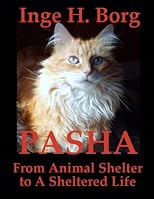 Pasha, From Animal Shelter to A Sheltered Life