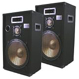 New PA Band DJ Karaoke Pro Audio Deluxe Three Way Speaker Monitor Pair PPB15