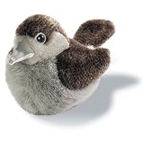  : Wild Republic Bb Bird House Wren 5