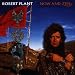 Robert-Plant-Now and Zen cd cover