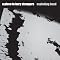 A Place To Bury Strangers Picture 1