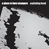 Image of album by A Place to Bury Strangers