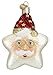 Old World Christmas Starry Night Santa Glass Ornament