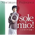 �fO sole mio~�C�^���A�̉�~
