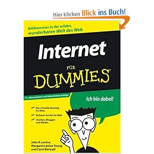 Internet für Dummies