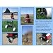 Genji Sports Wheeleez Fishing Cart/Beach Cart