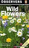 Wild flowers