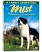 image 3 - Mist Sheepdog Tales The Great Challenge
