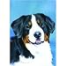 Bernese Mountain Dog (4x4) Ceramic Tile