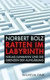 Ratten im