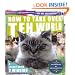 How to Take Over Teh Wurld: a lolcat guide to winning (Icanhascheezeburger.Com)