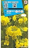 タキイ種苗花菜黒川寒咲