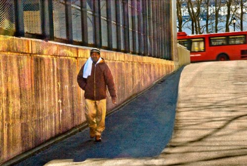 Morning Routine On Roosevelt Island Fine Art Photography