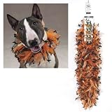 Dog Halloween Scrunchy Collar - Spooky Scrunchy Dog Halloween Collar (Pet Halloween Costume) - Large
