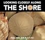 Looking Closely along the Shore