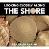Looking Closely along the Shore
